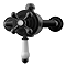 Trafalgar Traditional Dual Exposed Thermostatic Shower Valve Matt Black