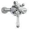 Trafalgar Victorian Exposed Valve with Rigid Riser Kit, Diverter, 8" Rose & Handset