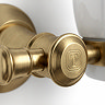 Trafalgar Wall Mounted Soap Dispenser - Brushed Brass