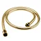 Tre Mercati 1.75m Shower Flex - Antique Gold - 830 Large Image