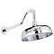 Tre Mercati - Curved Shower Arm with 8" Traditional Rose - Chrome Plated - 50595 Large Image
