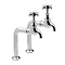 Tre Mercati - Imperial Pair Bib Taps and Stands - Chrome - 1067 Large Image