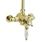 Tre Mercati Victoria Exposed/Concealed Thermostatic Shower Valve - Antique Gold Profile Large Image