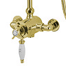 Tre Mercati Victoria Exposed Thermostatic Shower Valve with Riser Kit & Rose - Antique Gold  Profile