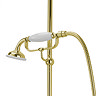 Tre Mercati Victoria Exposed Thermostatic Shower Valve with Riser Kit & Rose - Antique Gold  Standar