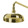 Tre Mercati Victoria Exposed Thermostatic Shower Valve with Riser Kit & Rose - Antique Gold  In Bath