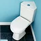 Tribune Dual Flush WC Pan & Corner Cistern Set Large Image