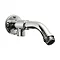 Triton 150mm Wall Mounted Bottom Entry Shower Arm - TSASCHBOTT Large Image