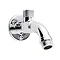 Triton 90mm Wall Mounted Top Entry Shower Arm - TSARM90TOP Large Image