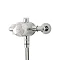 Triton Dove Exposed Sequential Thermostatic Shower Mixer & Kit - UNDOTHEXSM Profile Large Image