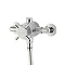 Triton Mersey Exposed Sequential Thermostatic Shower Mixer & Kit - UNMETHEXSM Profile Large Image