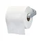 Triton Metlex Majestic Toilet Roll Holder - AMJ067C Large Image
