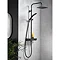 Triton Push Button Thermostatic Shower Mixer - Matte Black - SFXPBDIVBLK  In Bathroom Large Image