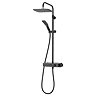 Triton Push Button Thermostatic Shower Mixer - Matte Black - SFXPBDIVBLK Large Image