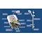 Triton T80 Pro-Fit 9.5kW Electric Shower - SP8009PF Profile Large Image