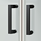 Toreno Matt Black 1700 x 700mm Double Sliding Door Shower Enclosure without Tray