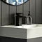 Turin Modern Black Basin Mono Mixer Tap  Profile Large Image