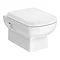 Turin Wall Hung Toilet with Concealed Cistern + Frame  Feature Large Image