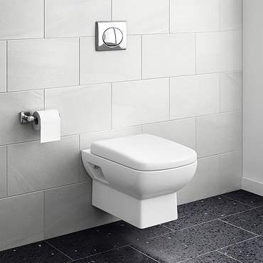 Turin Wall Hung Toilet with Concealed Cistern + Frame  Profile Large Image