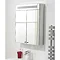 Hudson Reed Tuscon Stainless Steel Bathroom Cabinet with 2 Doors & Light - LQ334 Profile Large Image