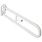Twyford Disability Hinged Support Rail & Toilet Roll Holder - White Large Image