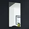 Ultra Asset Mirror with Shelf - Oak Finish - LQ001 Large Image