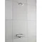 Ultra Commercial Concealed Fixed Shower Head with Back to Wall Elbow - CK100 Large Image