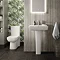 Hudson Reed Arlo Compact Flush to Wall Toilet + Soft Close Seat  Standard Large Image