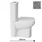 Hudson Reed Arlo Compact Flush to Wall Toilet + Soft Close Seat  Profile Large Image