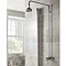 Ultra Nostalgic Exposed Manual Mixer Shower Valve Profile Large Image