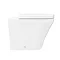 Hudson Reed Luna Round Back To Wall Pan with Top-Fixing Soft Close Seat - CPA008  In Bathroom Large 