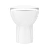 Ceramic BTW Toilet Pan with Soft-Close Seat & Dual Flush Concealed Cistern  Standard Large Image