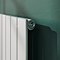 Urban Vertical Radiator - White - Single Panel (1800x456mm)