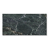 Vaida Large Format Green Marble Effect Wall and Floor Tiles - 600 x 1200mm