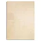Veneto Shine Marble Effect Beige Wall Tiles - 33 x 45cm (Pack of 10) Large Image