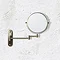 Venice Antique Brass 5x Magnifying Cosmetic Mirror with Curved Wall Plate  Profile Large Image
