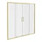 Venice Brushed Brass 1700 x 1850 Double Sliding Shower Door