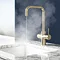 Bower 3-in-1 Instant Boiling Water Tap - Brushed Brass with Boiler & Filter Large Image