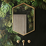 Venice Brushed Brass 500 x 750mm Hexagonal Mirror  Standard Large Image
