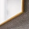 Venice Brushed Brass 500 x 800mm Rectangular Mirror Profile Large Image