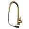 Venice Brushed Brass Mixer with Concealed Pull Out Spray