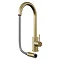 Venice Brushed Brass Kitchen Sink Mixer with Pull-Out Hose and Spray Head