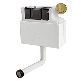 Venice Concealed WC Cistern with Brushed Brass Push Button Flush Medium Image