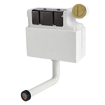 Venice Concealed WC Cistern with Brushed Brass Push Button Flush  Profile Large Image