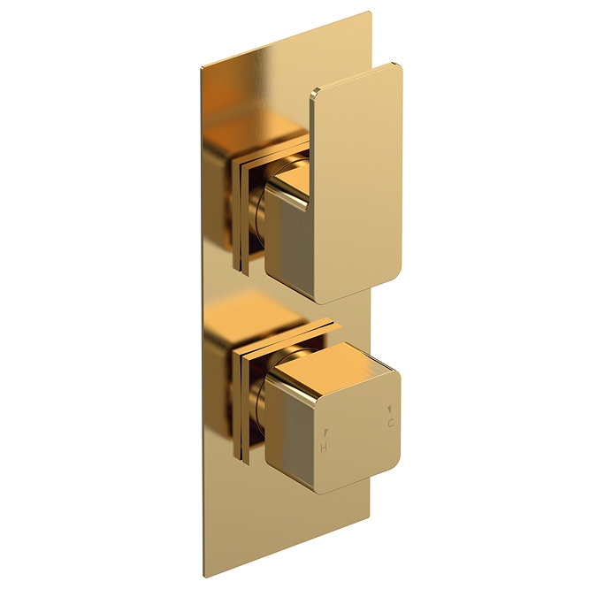 Venice Cubo Twin Thermostatic Shower Valve - Brushed Brass Large Image