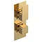 Venice Cubo Twin Thermostatic Shower Valve - Brushed Brass Large Image