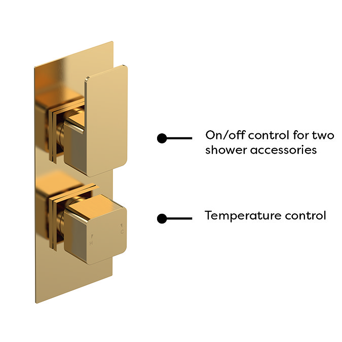 Venice Cubo Twin Thermostatic Shower Valve with Diverter - Brushed Brass  Profile Large Image