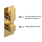 Venice Cubo Twin Thermostatic Shower Valve with Diverter - Brushed Brass  Profile Large Image