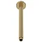 Venice Giro 300mm Brushed Brass Round Ceiling Shower Arm Large Image