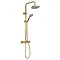 Venice Giro Brushed Brass Modern Thermostatic Shower  Profile Large Image